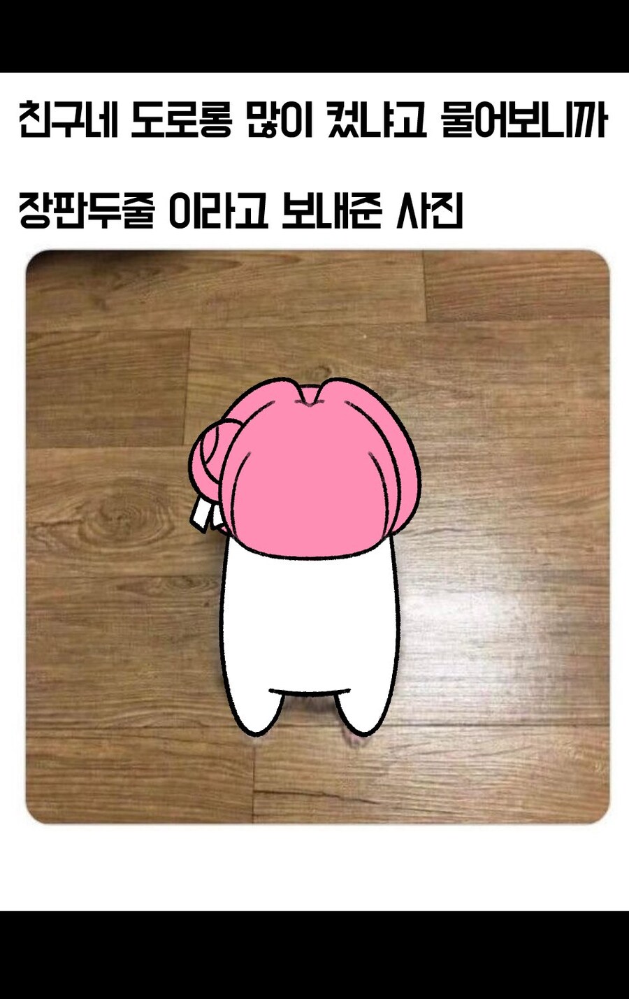 너희 도로롱 많이 컸냐?_1.jpg