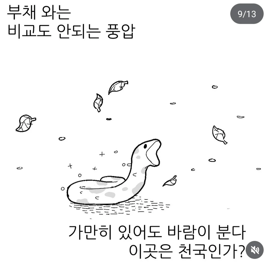 뱀들의 여름나기_9.webp