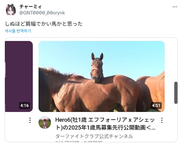 몸 좋은 동물짤.jpg_5.png