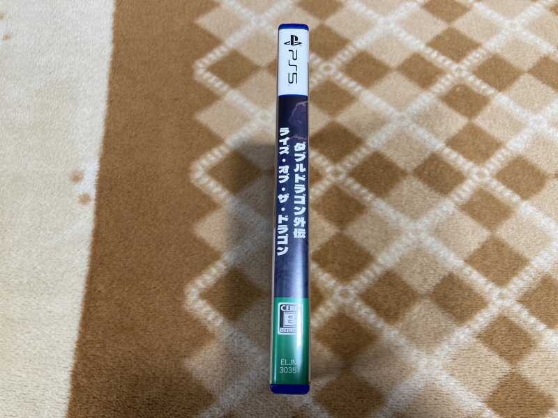 더블 드래곤 외전(GAIDEN) "라이즈 오브 더 드래곤"_5.jpg