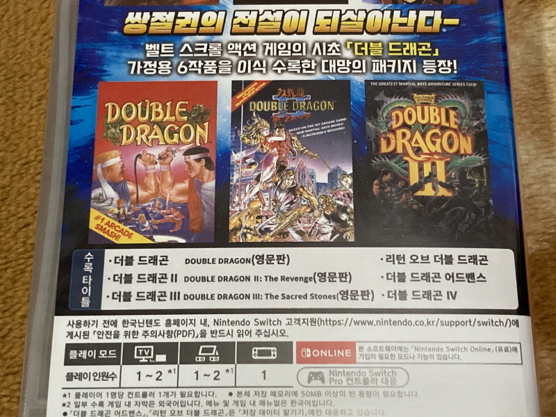 더블 드래곤 외전(GAIDEN) "라이즈 오브 더 드래곤"_133.jpg