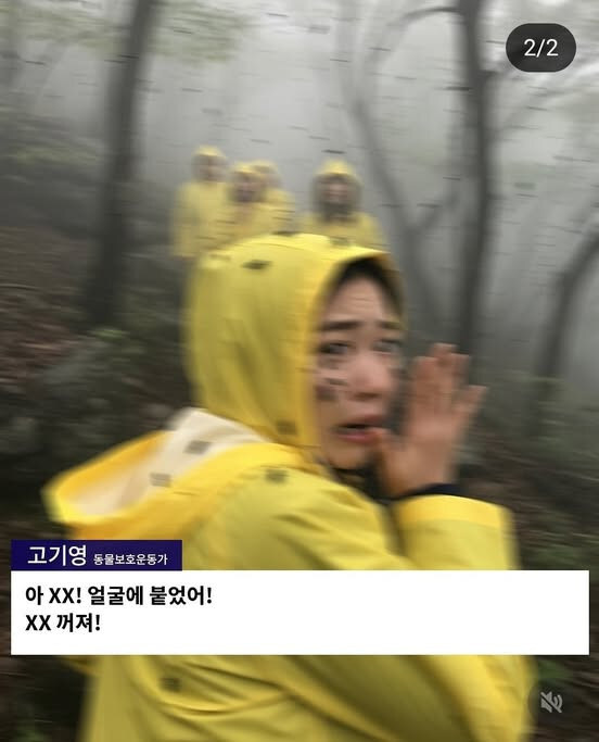 "죄 없는 러브버그 학살 당해"…동물보호운동가 영상은 가짜뉴스_2.jpg