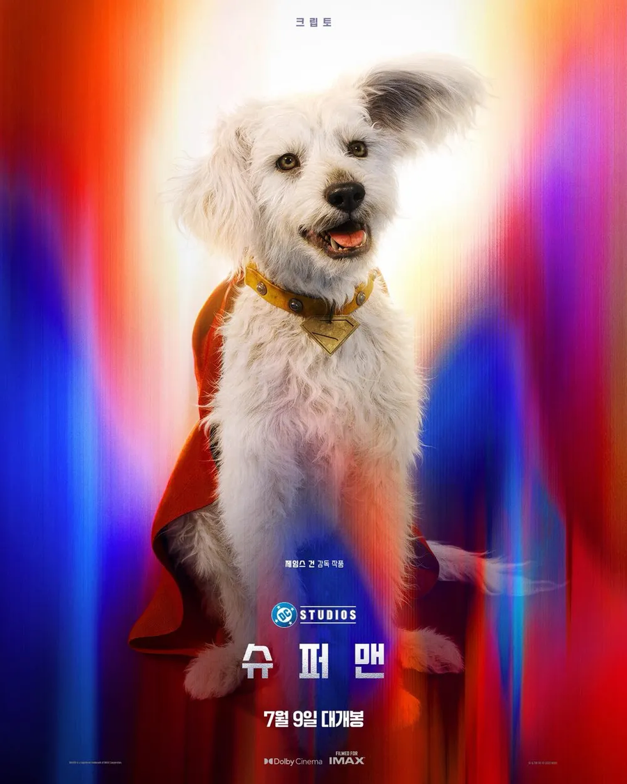 영화)DC)뭐? 개가 얻어맞았다고?_1.webp