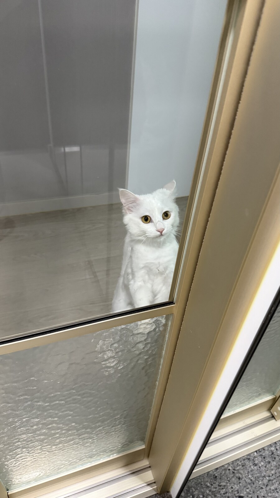 내가 현관에 중문을 단 이유_3.jpg