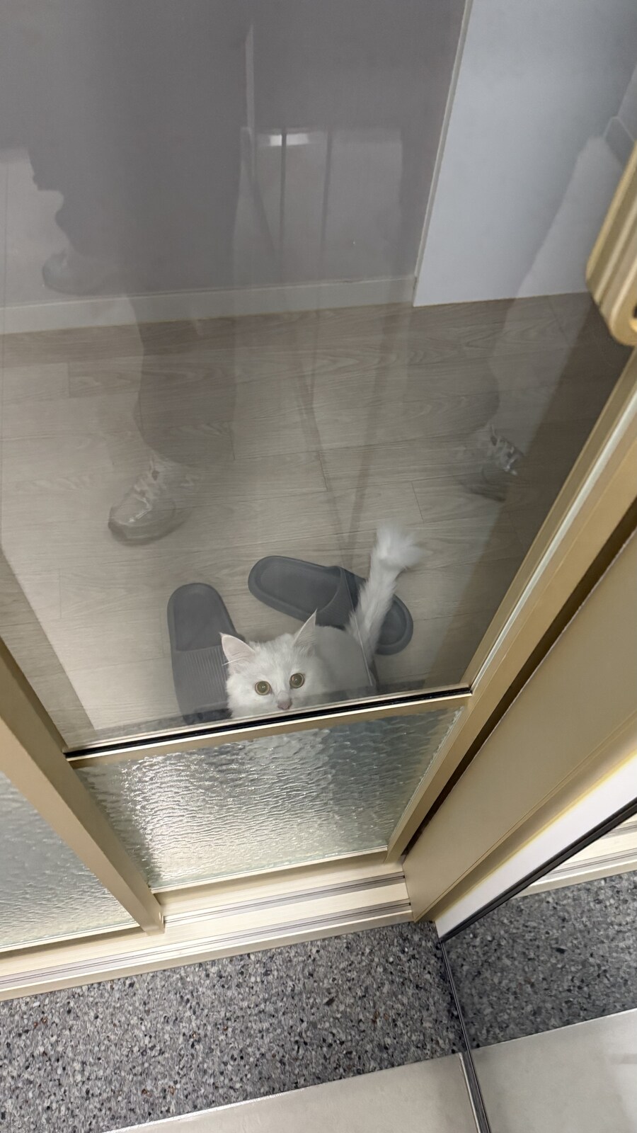 내가 현관에 중문을 단 이유_8.jpg
