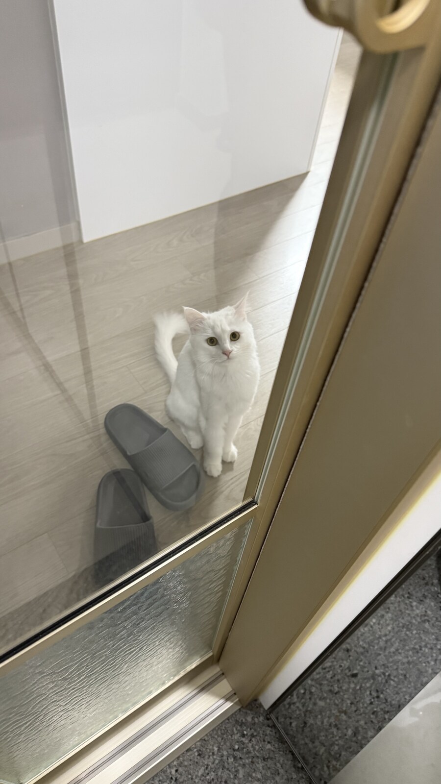 내가 현관에 중문을 단 이유_9.jpg