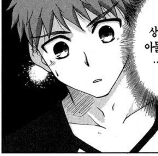 fate)어느 코믹스의 에미야 시로_2.jpg