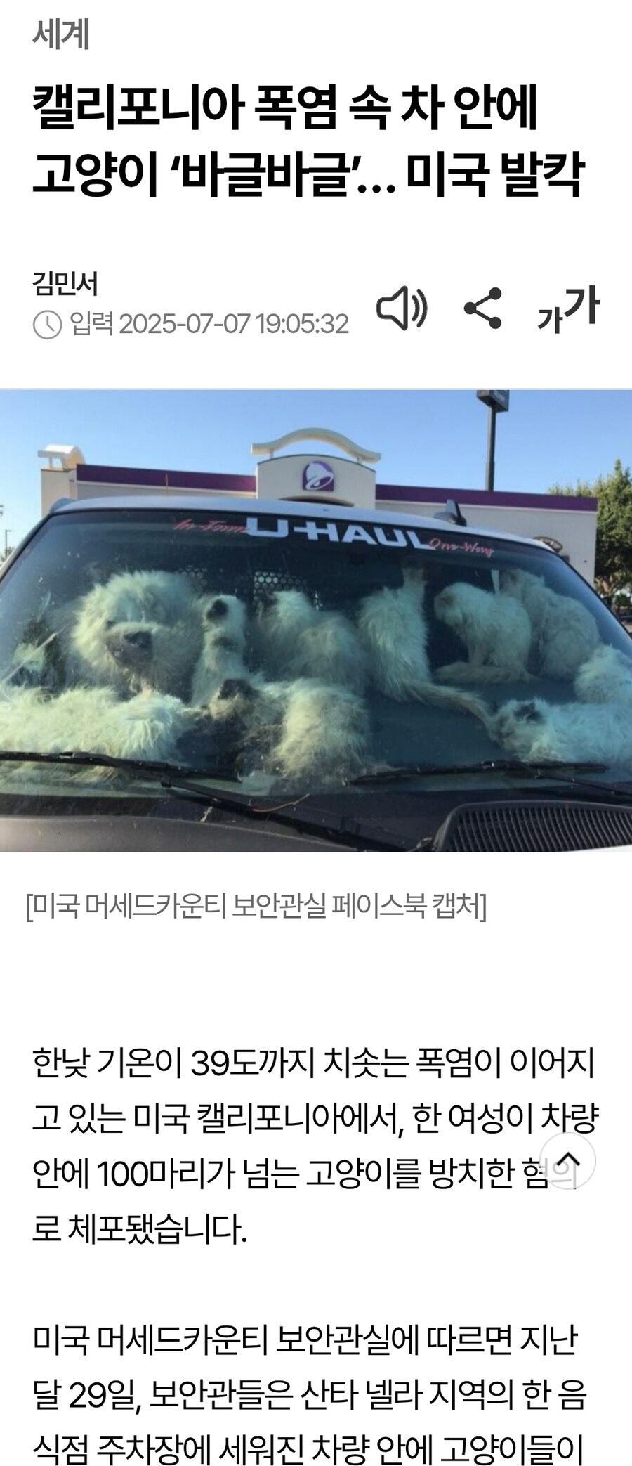 해외) 폭염속 차안에 고양이들 100마리 가둔미친x_1.jpg
