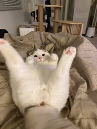 ㅇㅇㄱ)채증빌런 갔지?(눈치)_3.jpg