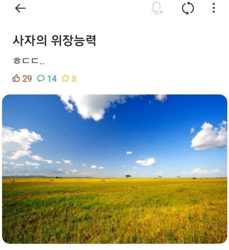 사장의 위장능력 ㅎㄷㄷ_1.jpg
