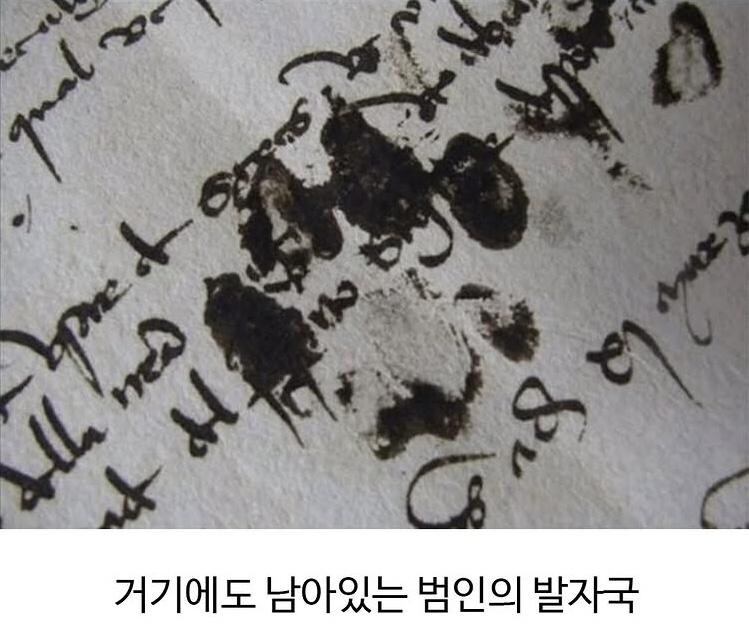 수천년동안 한결같은 동물_5.jpg