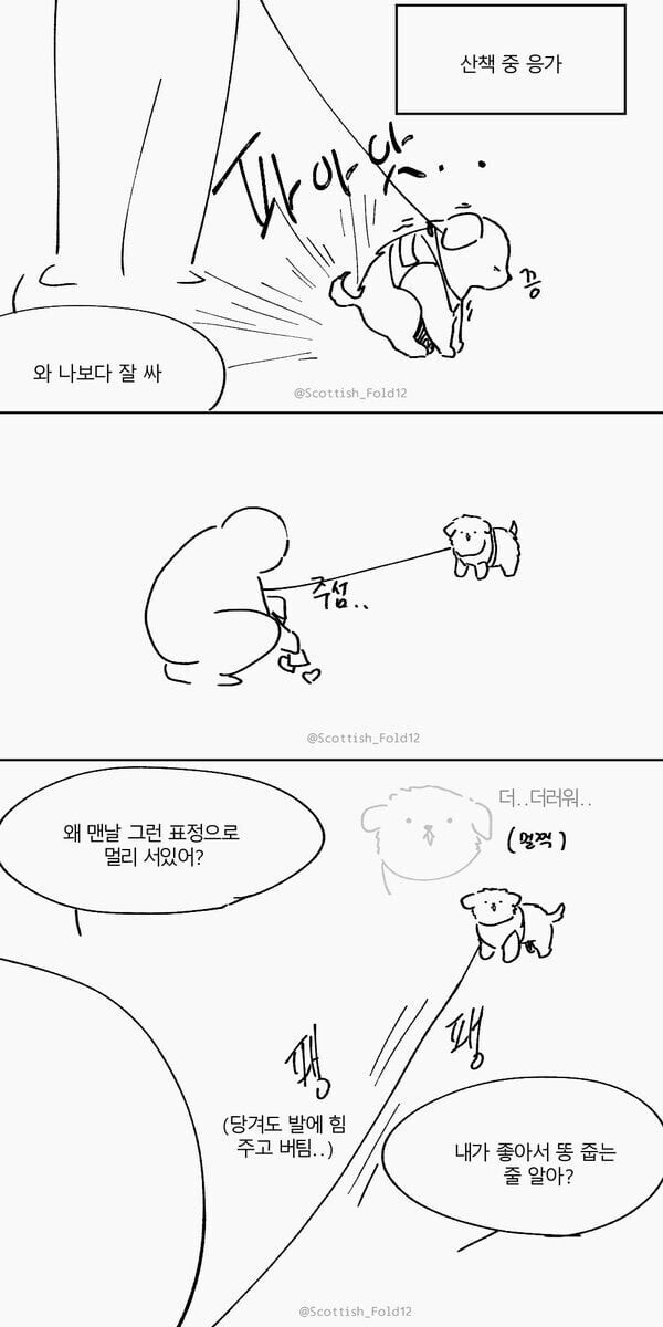 앙냥냥.jpg_2.jpg