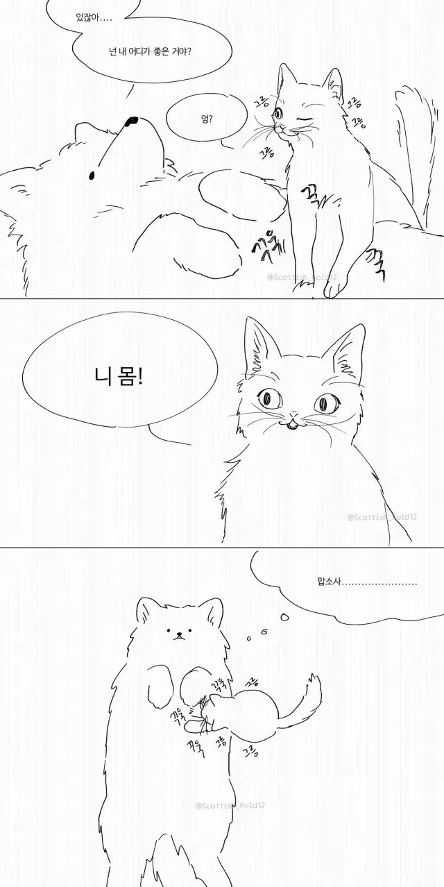 앙냥냥.jpg_6.jpg