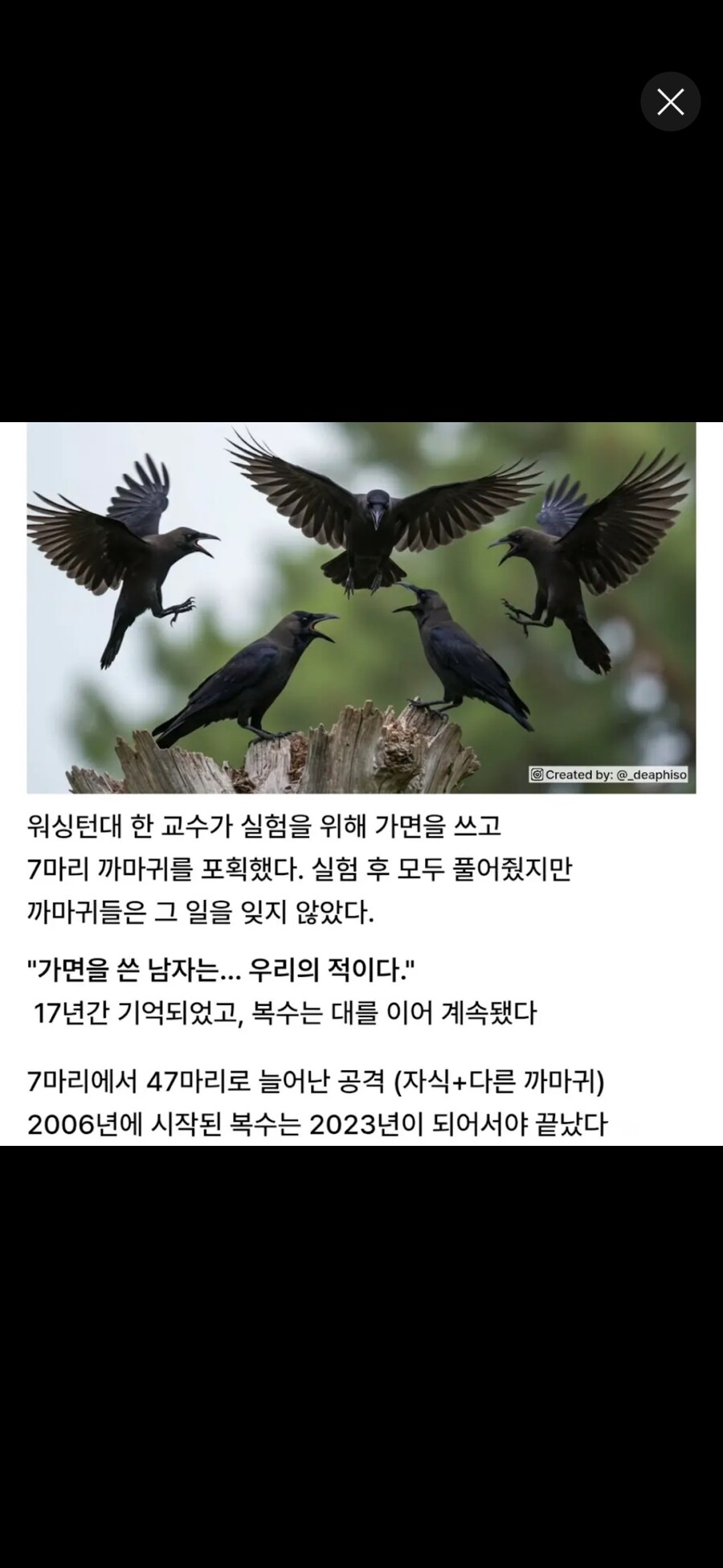 말을 너무 줄이면 안되는 이유_1.jpg