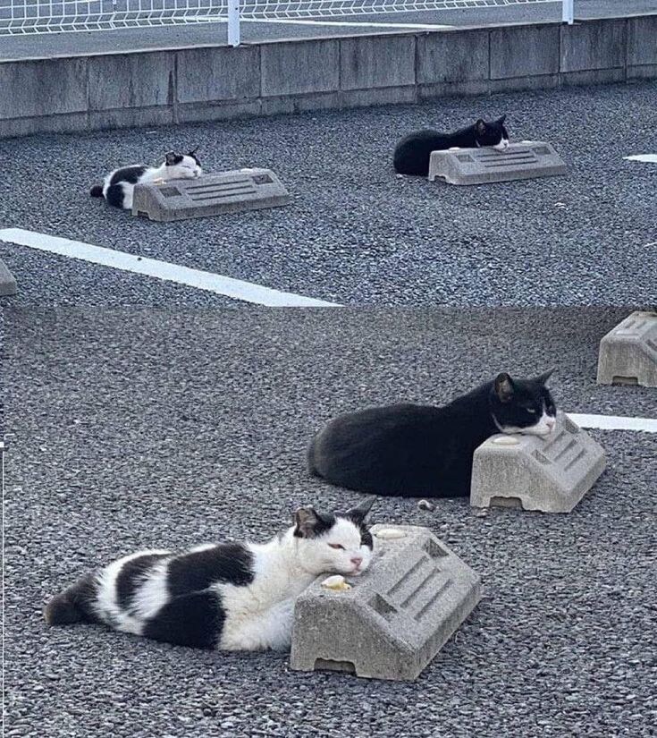 주차장에 주차된 차들_1.jpg