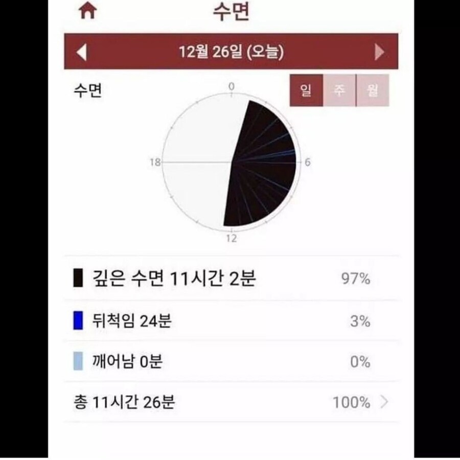 고양이의 하루.jpg_4.jpg