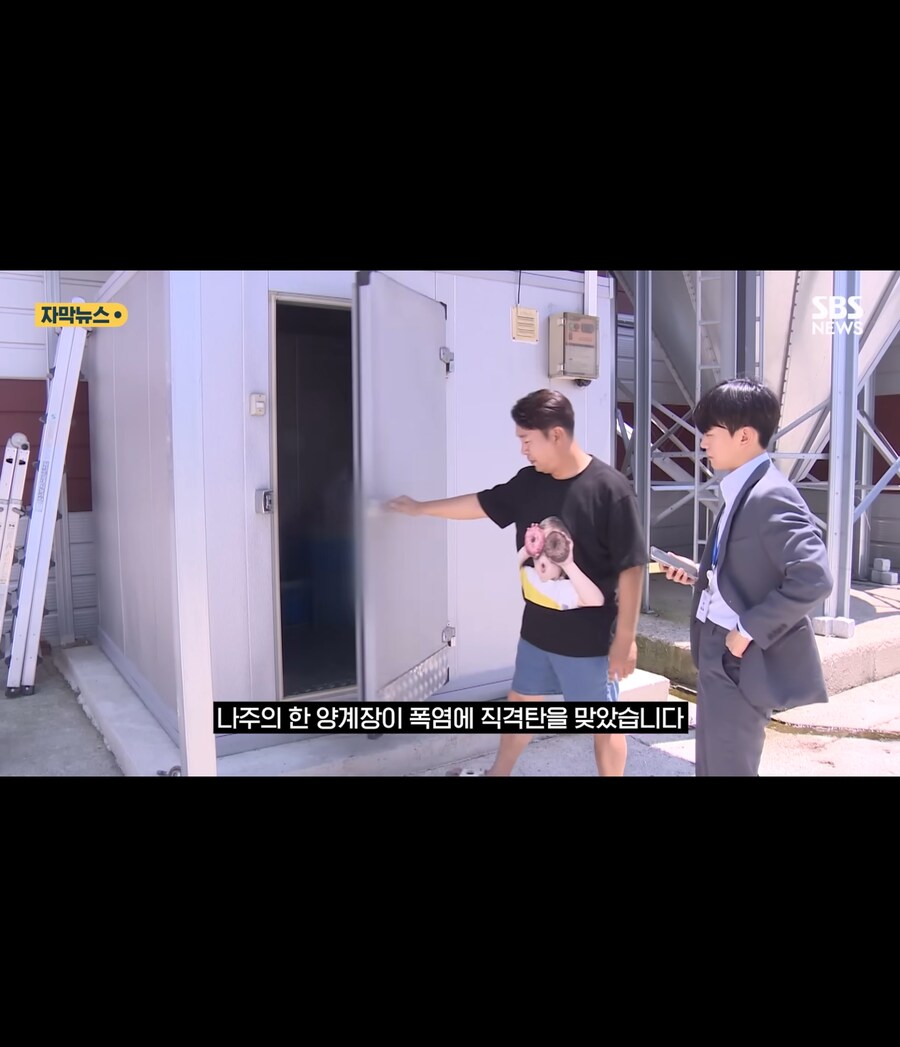 폭염에 가축들 폐사_2.jpg