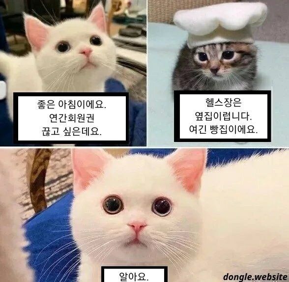 "헬스장은 옆집입니다."_1.jpg