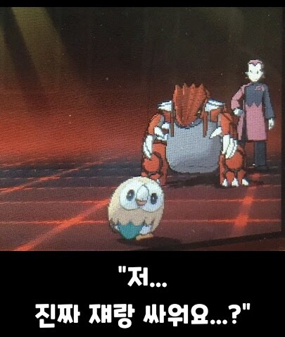 진짜 쟤랑 싸워요?_2.jpg