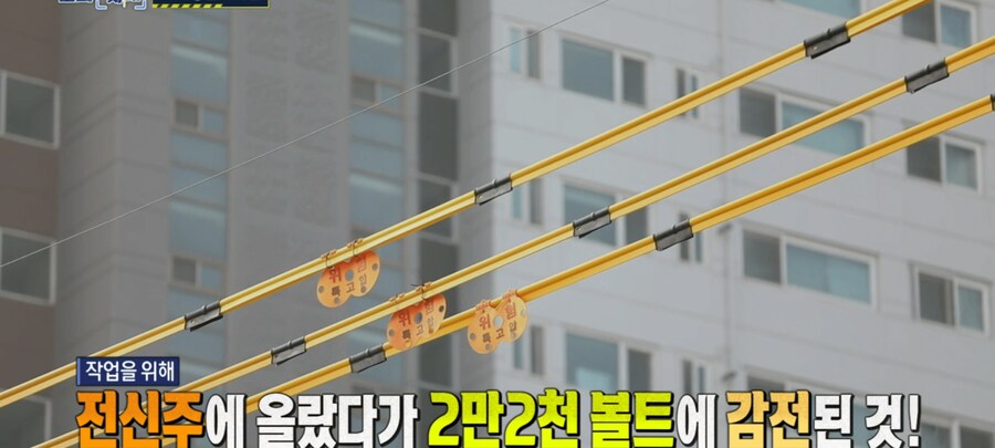 한전 하청에서 사람 죽은 일이 하루이틀이 아닌데_16.png