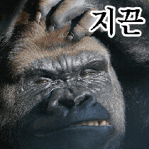 ㅇㅇㄱ)근데 가입일채증선배빌런은 DC에 가서 글싸는데_1.jpg