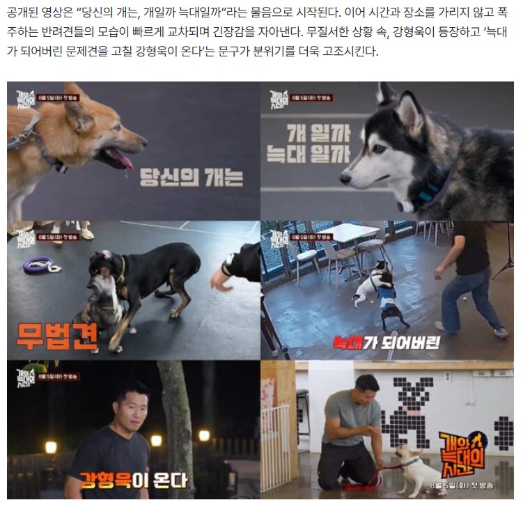페미 여직원에게 똥맞았던 개통령 강형욱 근황_2.png