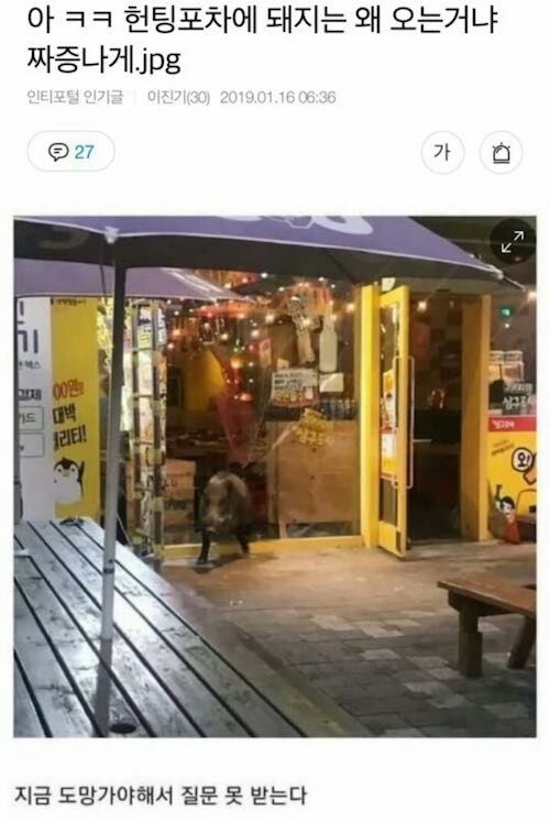 아 ㅋㅋ 헌팅포차에 돼지는 왜 오는거냐 짜증나게_1.jpg