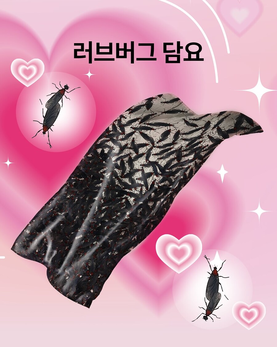 ♚♚ 계양산 $$정☆기받은☜☜러브버그 담요 출시※_1.jpg