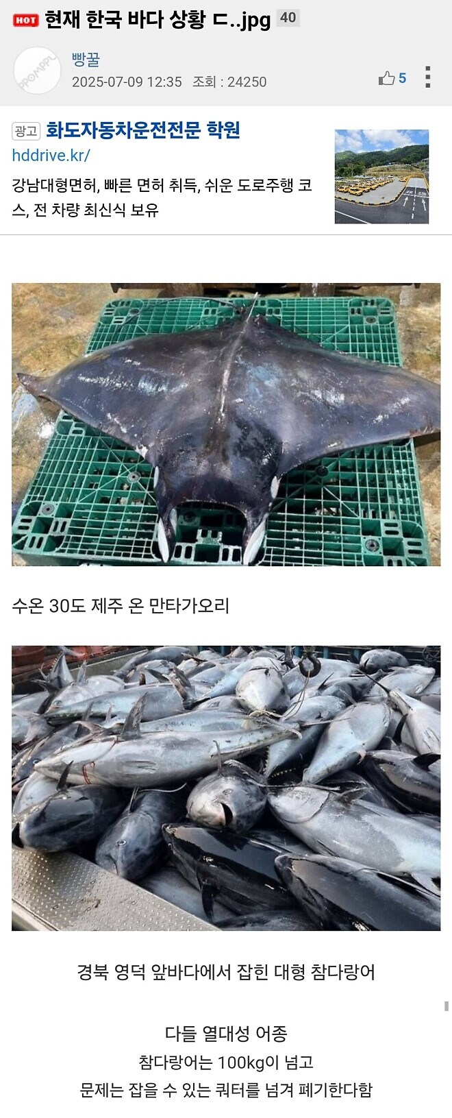 현재 한국 바다 상황_1.jpg