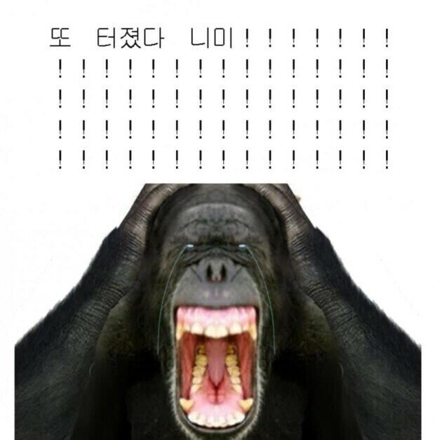 ㅇㅇㄱ) 뭐 새로운거 또 터졌냐?_2.png