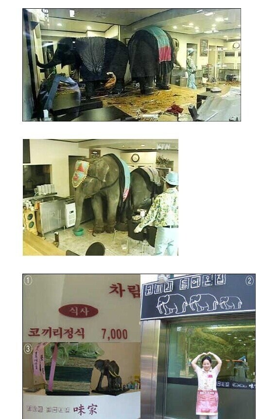 의외로 한국 연예계에 많은 영향을 줬던 사건_1.jpg
