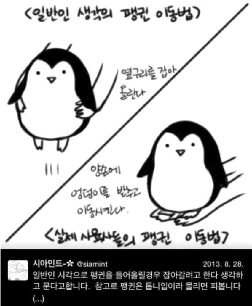 펭귄을 이동시키는 방법.jpg_1.jpg