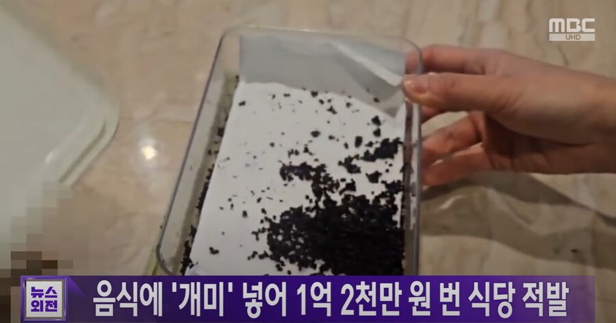음식에 개미 넣어 1억 2천만원 번 식당 적발_2.png