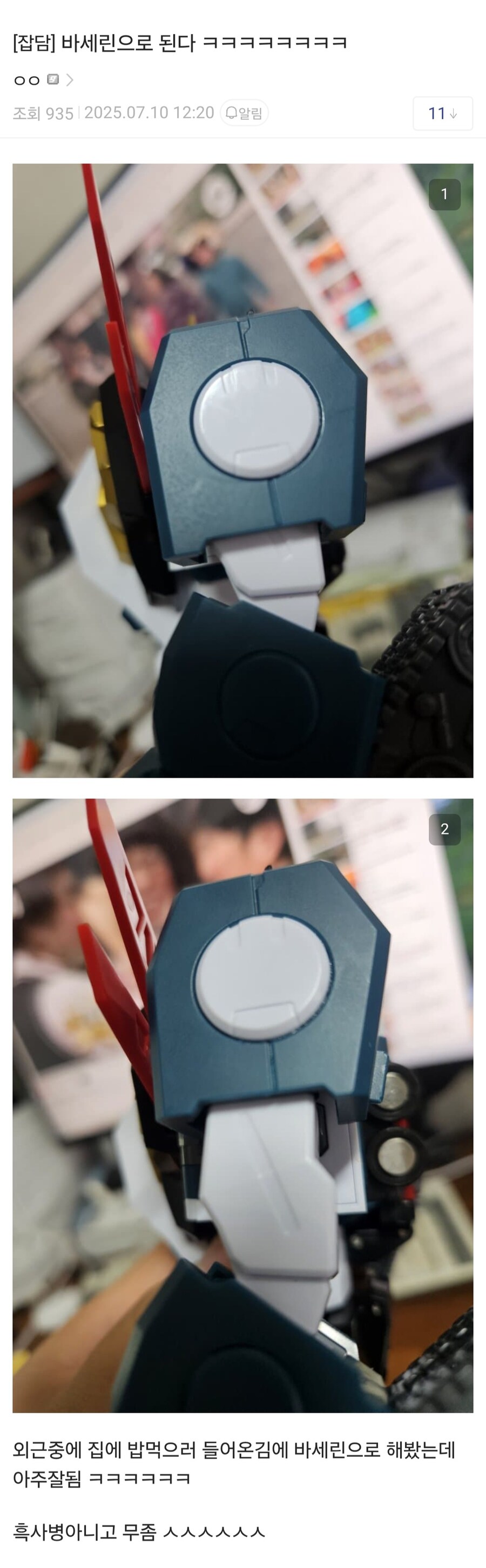 피규어 흑사병을 치료한 의외의 방법_5.jpg