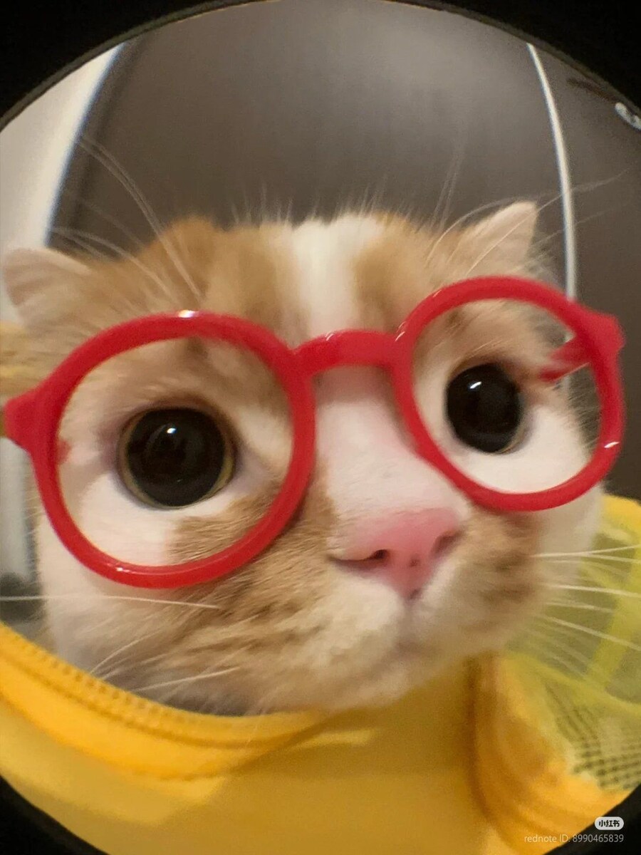 죽어라 유게이!!_13.jpg