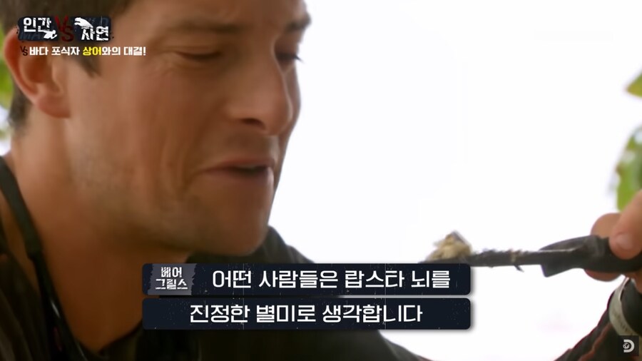 바다가재를 사냥한 베어 그릴스_4.png