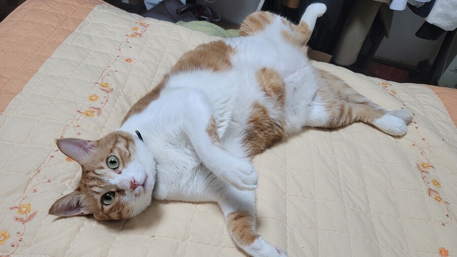 술기운 올라온다 희희_11.jpg