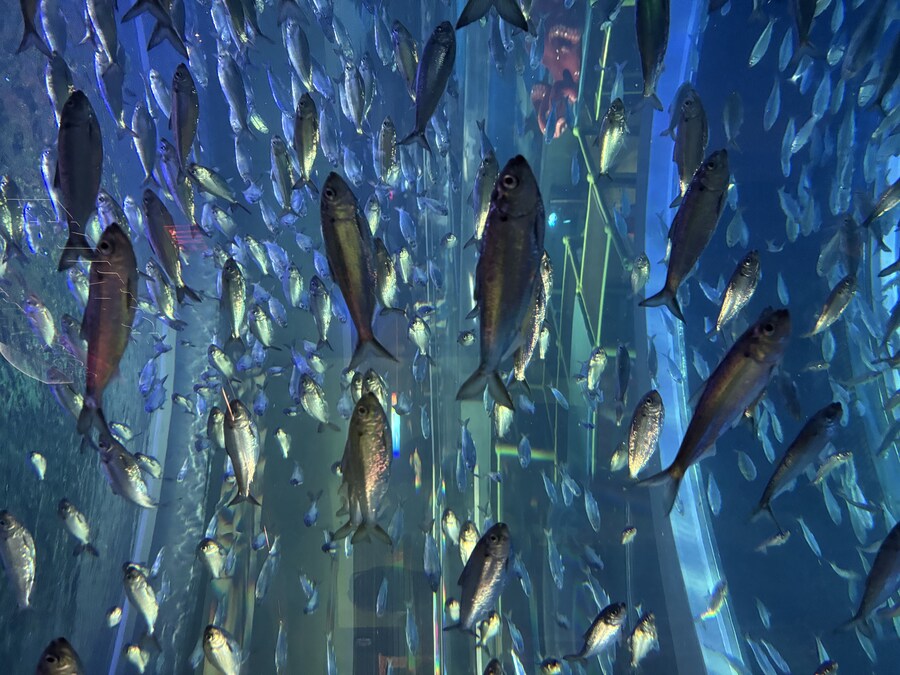 스압) 나이아가라 폭포, 토론토 여행_59.jpg