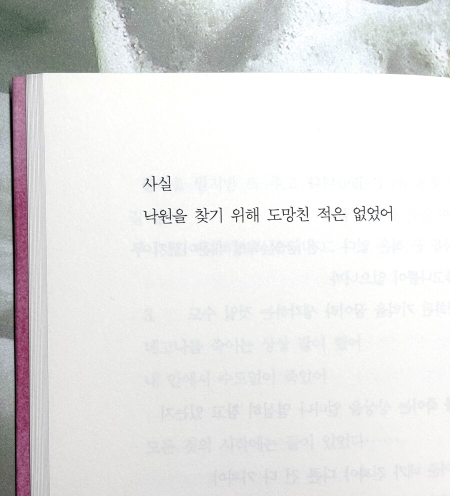 도망친 곳에 낙원은 없다더라