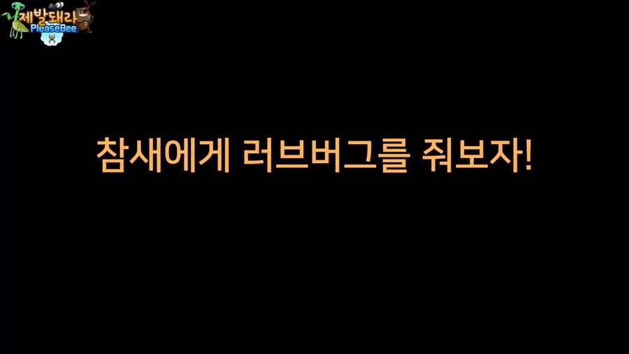 참새가 러브버그 먹는지 직접 확인해본 유튜버_12.jpg