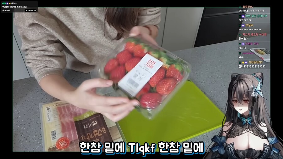 버튜버)"그정도로 등신은 아니겠지"_13.png