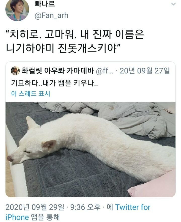 산갈치 1호의 햏방불명_1.jpg