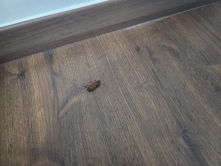 혐) 방역 성능 확실하네_1.jpg