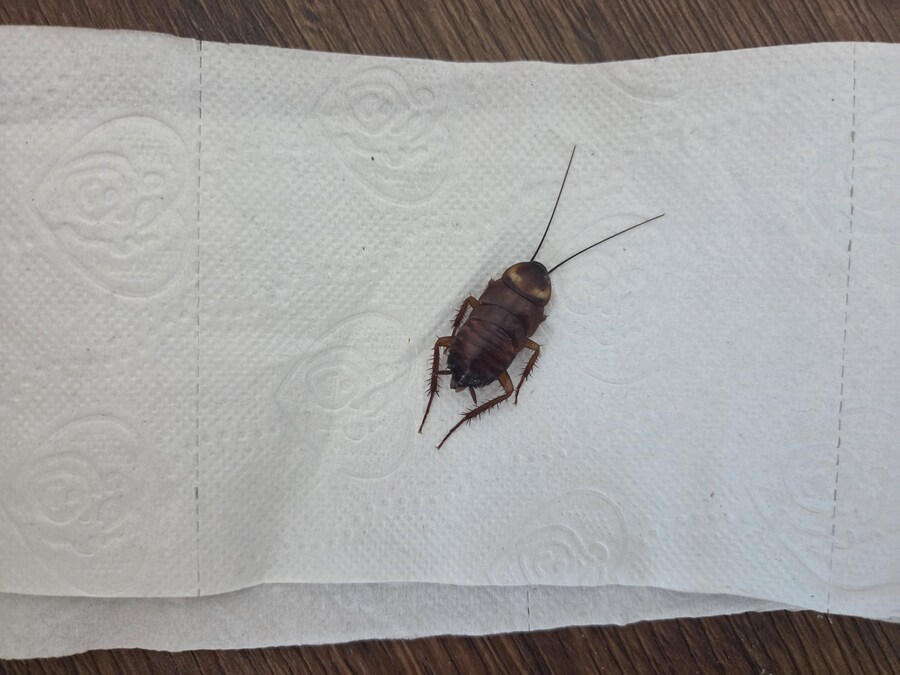 혐) 방역 성능 확실하네_2.jpg