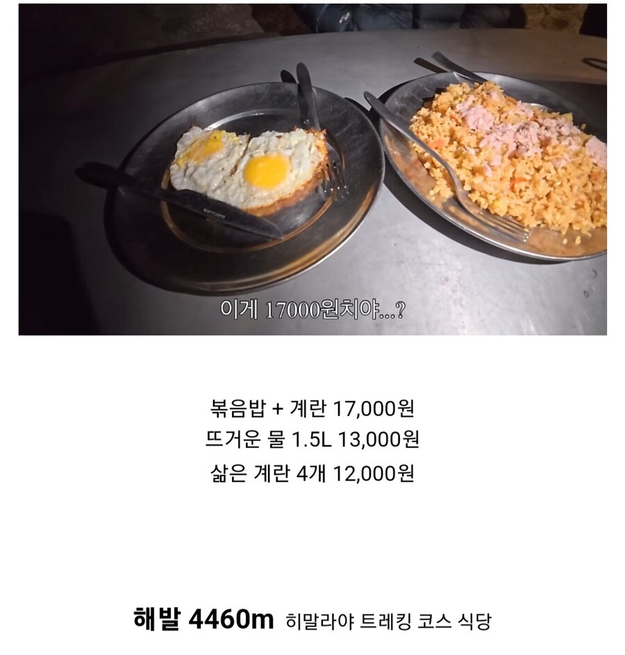 17000원 어치 퀄리티의 계란 볶음밥.jpg_1.webp
