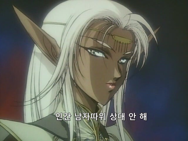 다크엘프를 자빠트리려다가 처맞는 인간 군인_17.jpg