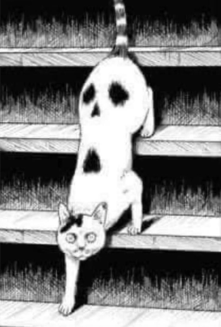 호러만화가가 키우던 고양이.manwha_3.jpg