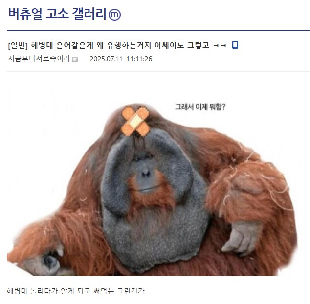 ㅇㅇㄱ) 해병문학을 모르는 수직고소갤러_1.png