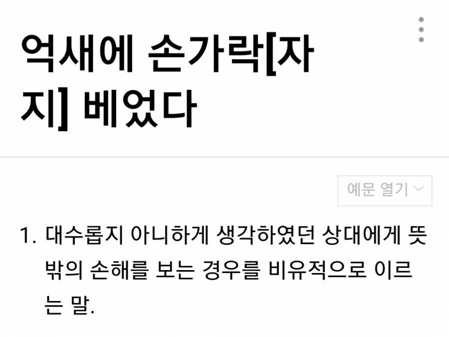 우리 조상님들의 ㅈ토피아식 속담 만들기.hwp_5.jpg