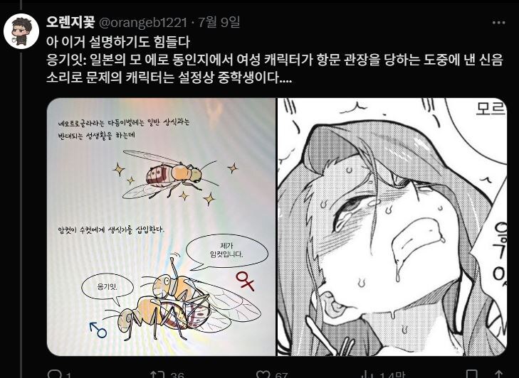 갈로아 작가 저격한 사람은 한두개 지적하는게 아님_13.jpg